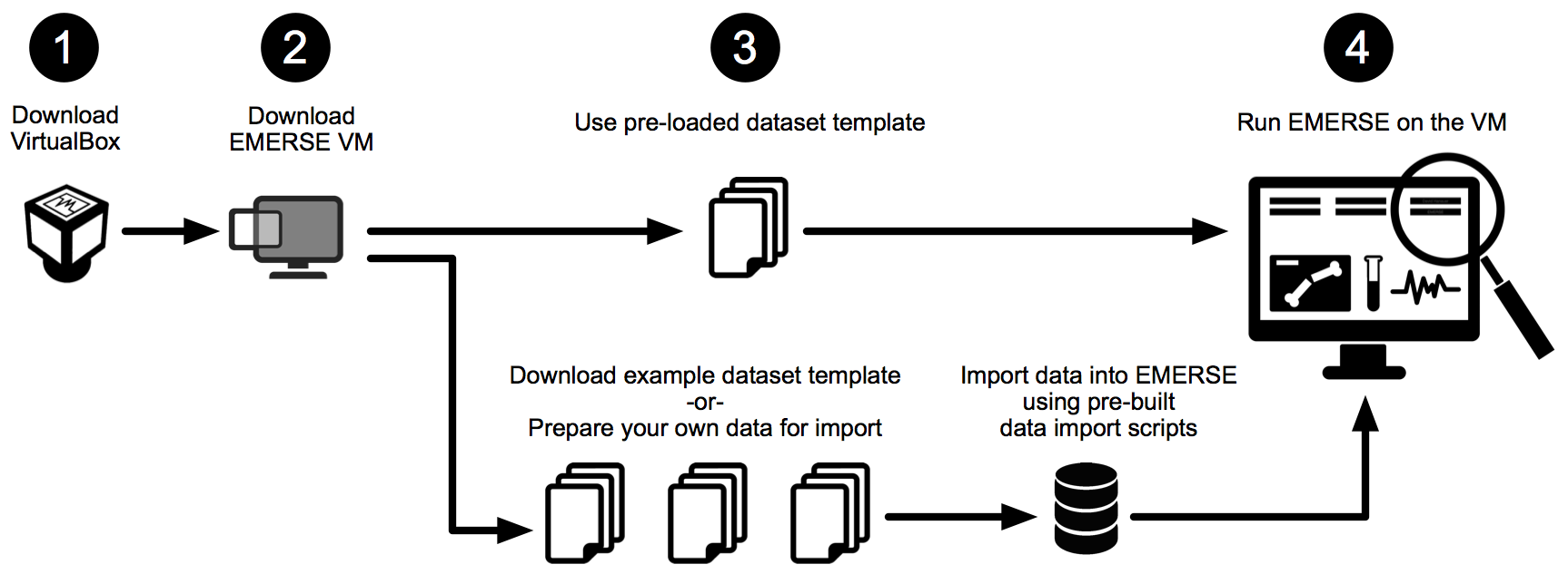 EMERSE VM example