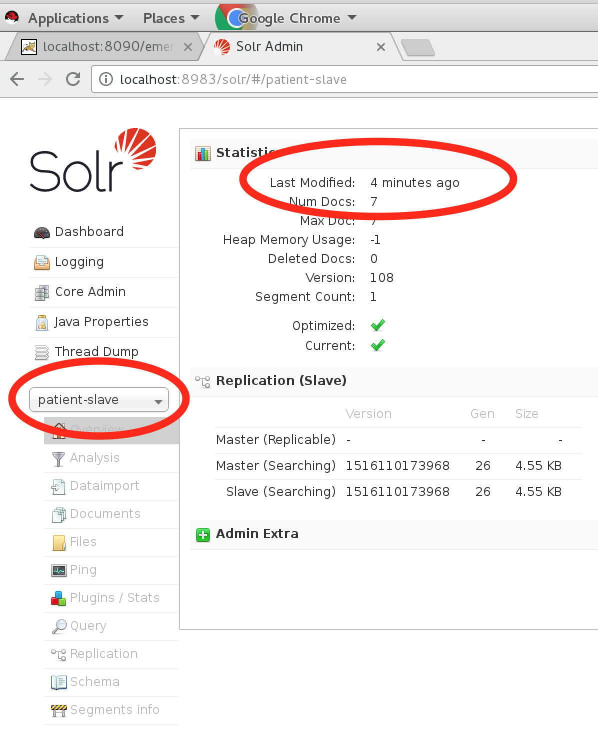 Solr Patient Index page