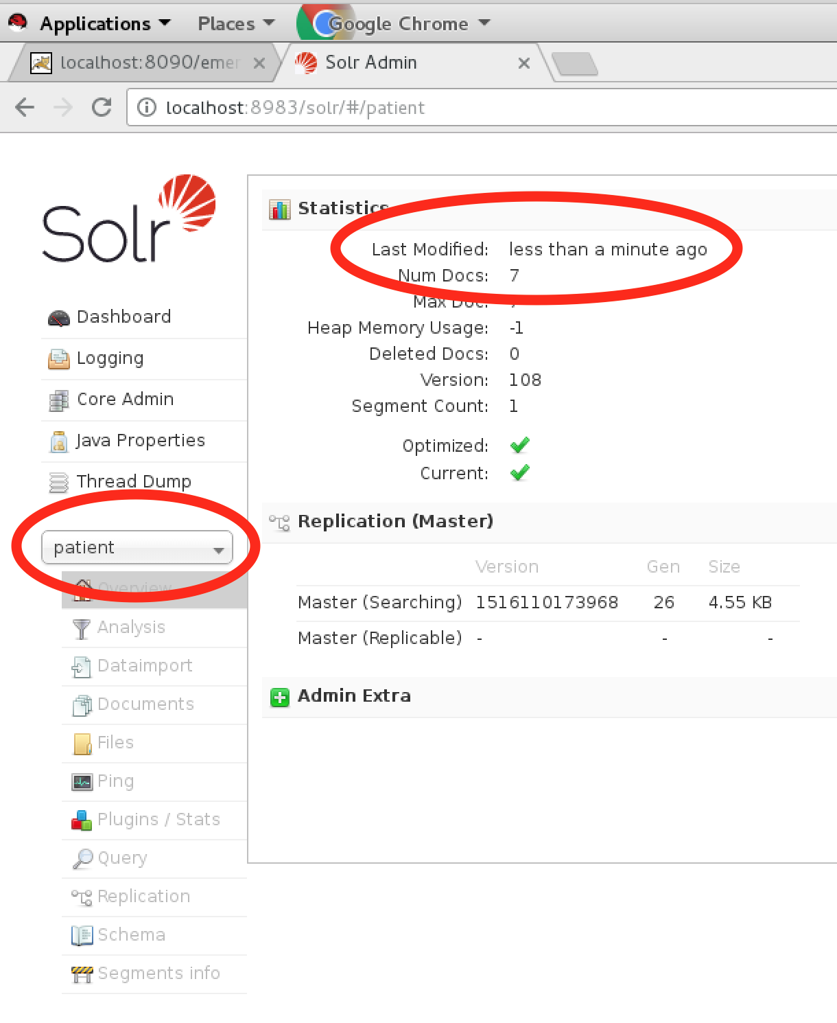 Solr Patient Index page