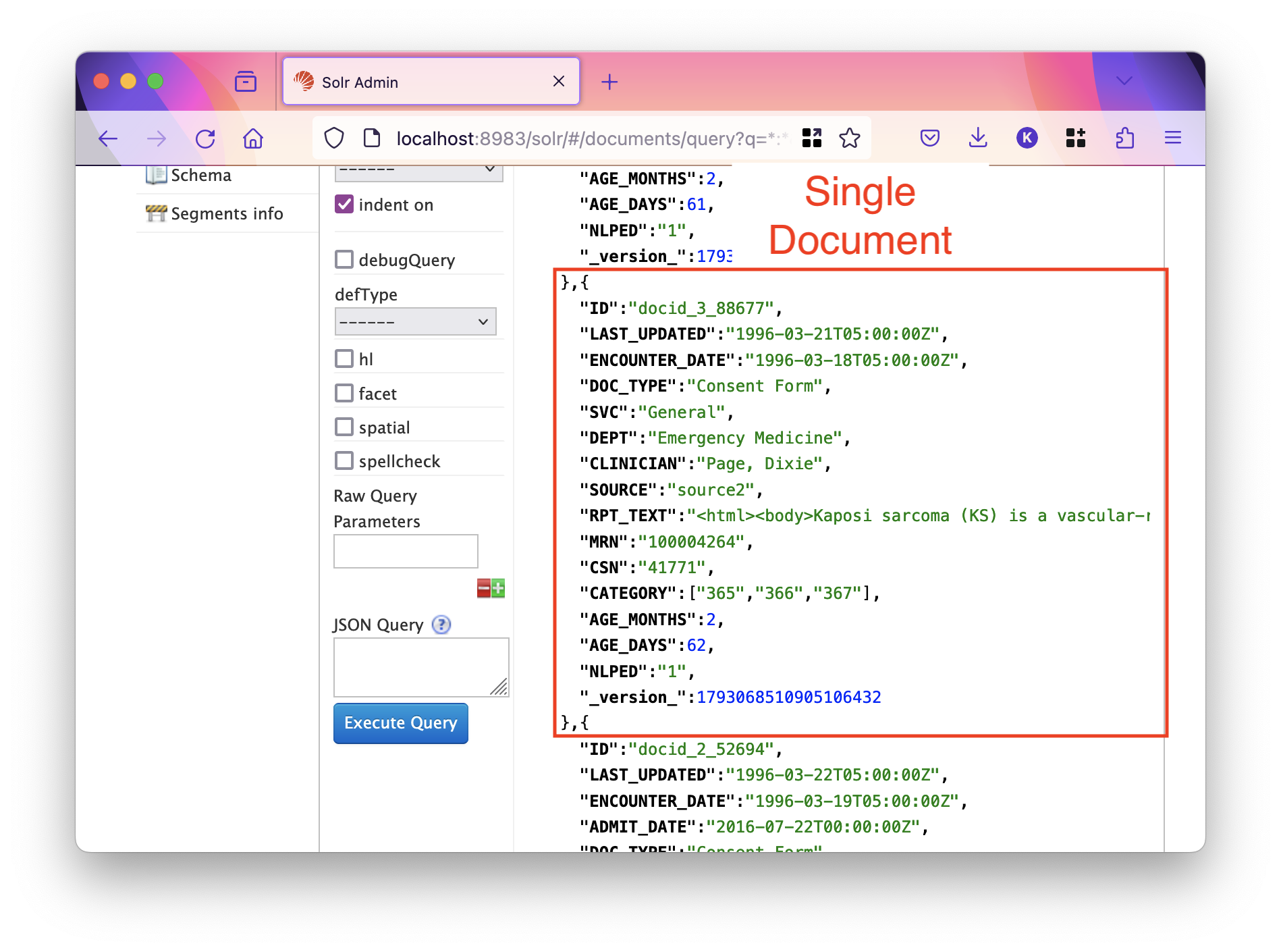 fields solr doc